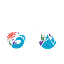 Wander Woman