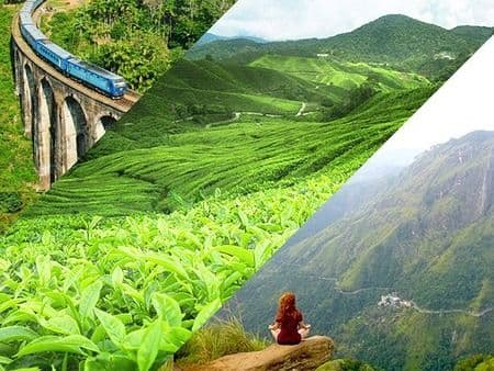 Scenic Sri Lanka - Year End Edition landscape