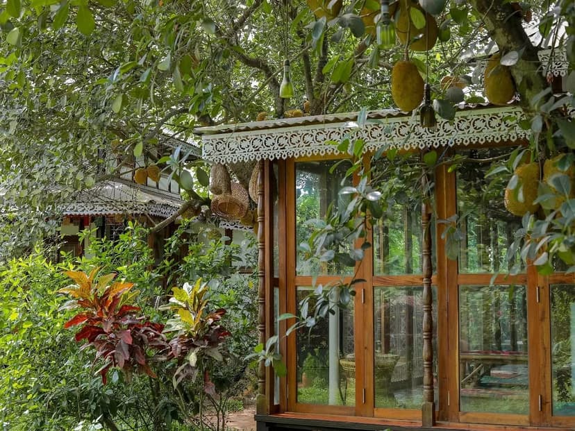 A Day with Nature at Shorol Bari, Gazipur   landscape